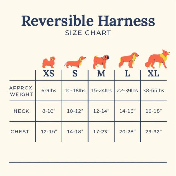 LUCY & CO Reversible Harness Shark Attack