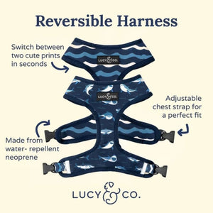 LUCY & CO Reversible Harness Shark Attack