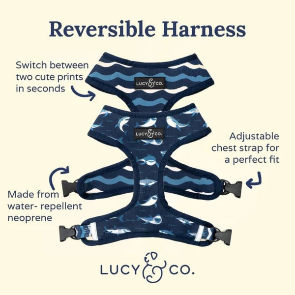 LUCY & CO Reversible Harness Shark Attack