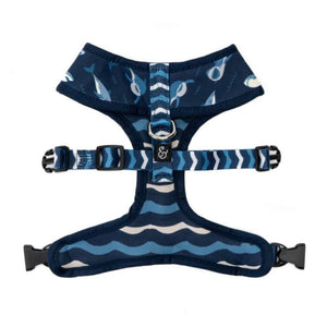 LUCY & CO Reversible Harness Shark Attack