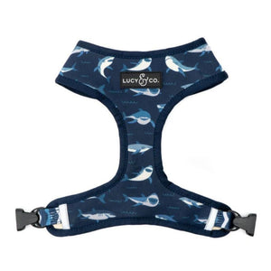 LUCY & CO Reversible Harness Shark Attack