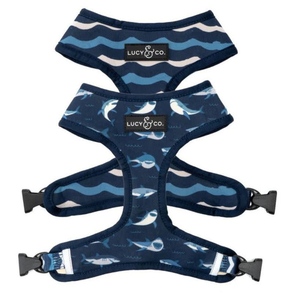 LUCY & CO Reversible Harness Shark Attack