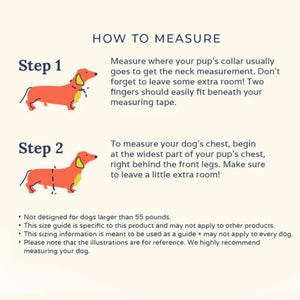 LUCY & CO Reversible Harness Shark Attack