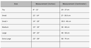 MACKENZIE Moon and Stars Dog Collar Blue 1.5in