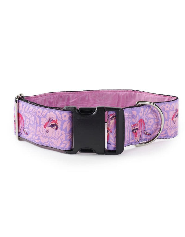MACKENZIE  One Person's Trash Pink Clip Collar
