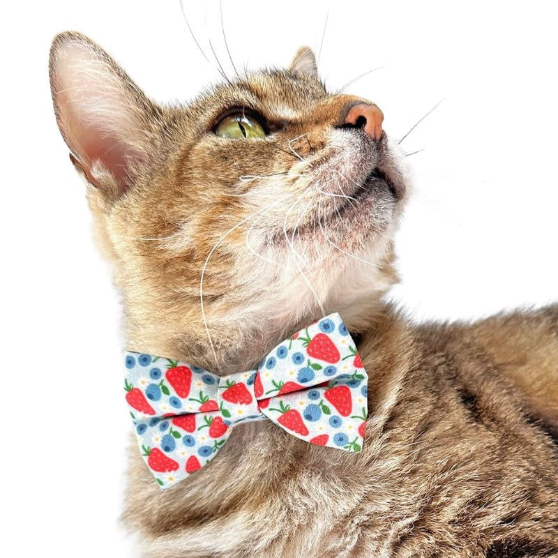 MADE BY CLEO Cat Bow Tie Berry Bramble