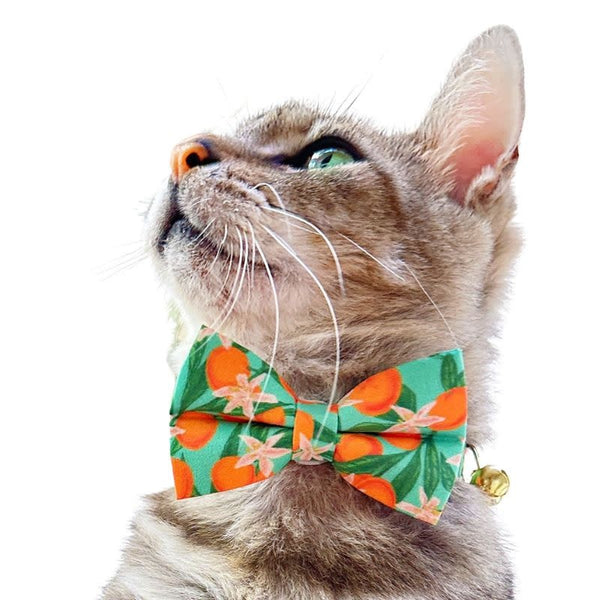 MADE BY CLEO Cat Bow Tie Clementine Blossom