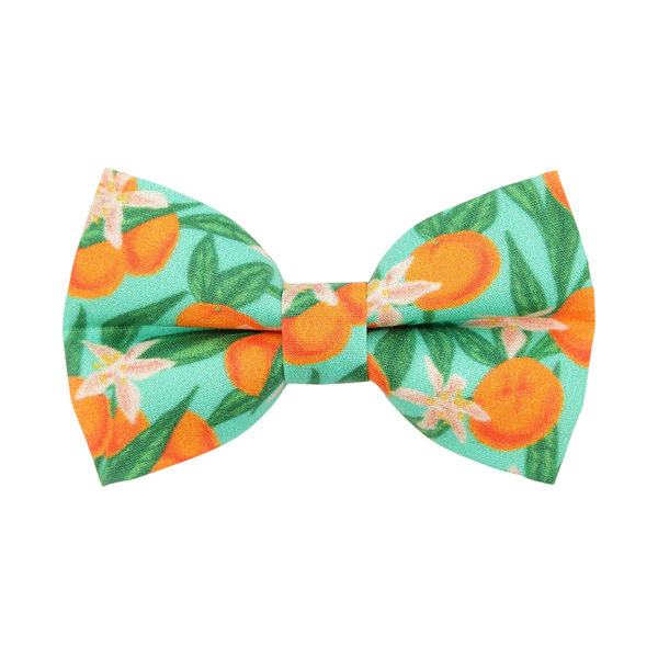 MADE BY CLEO Cat Bow Tie Clementine Blossom