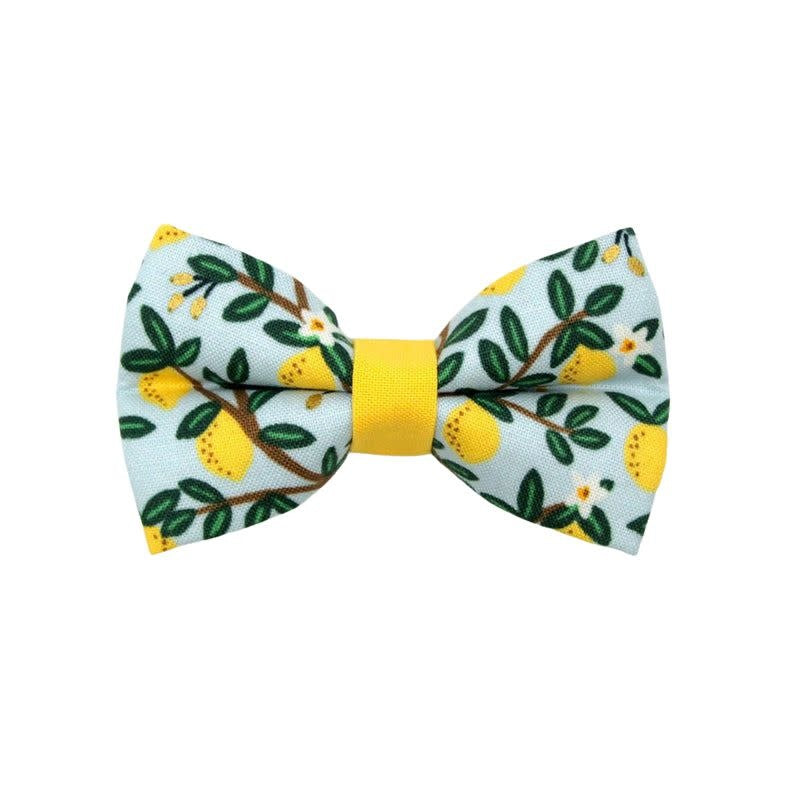 MADE BY CLEO Cat Bow Tie Lemon Drops