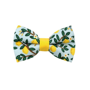 MADE BY CLEO Cat Bow Tie Lemon Drops