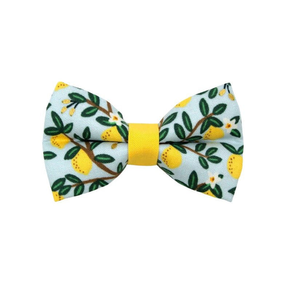 MADE BY CLEO Cat Bow Tie Lemon Drops