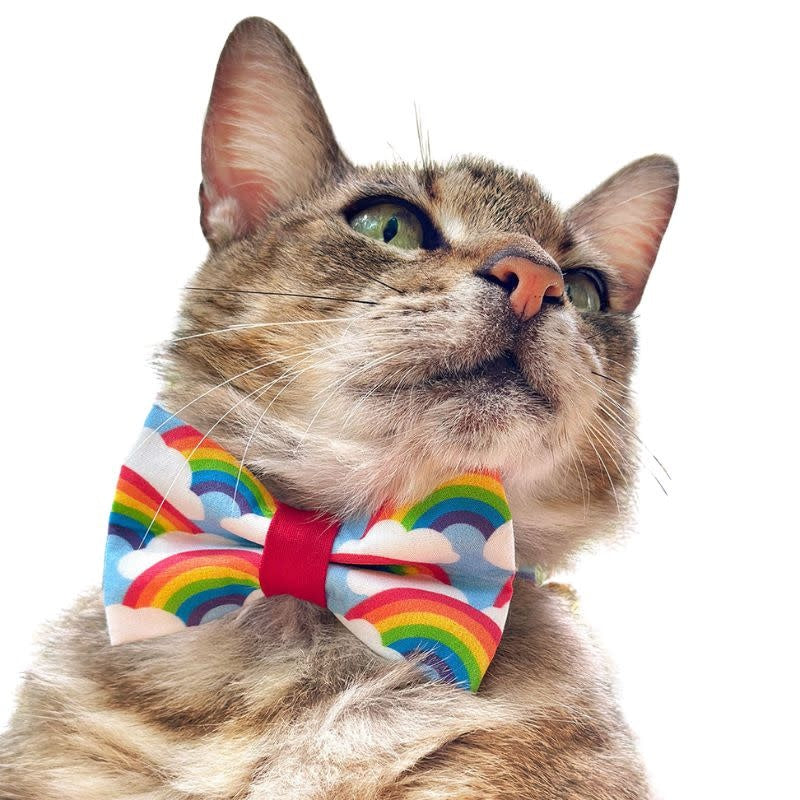 MADE BY CLEO Cat Bow Tie Rainbow Magic