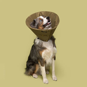 MILLION DOGS Healing Cone Olive