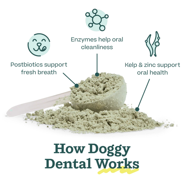 WOOF Dog Pupsicle Pops Dental Mix 5.5OZ