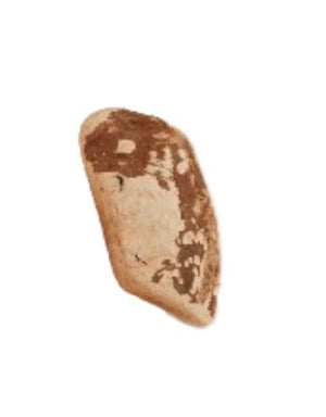 CANOPHERA Briar Wood Chew