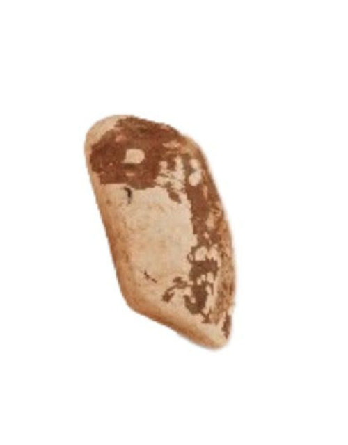 CANOPHERA Briar Wood Chew