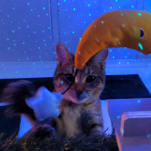 MEOWIJUANA Get Hung Refillable Moon & Stars