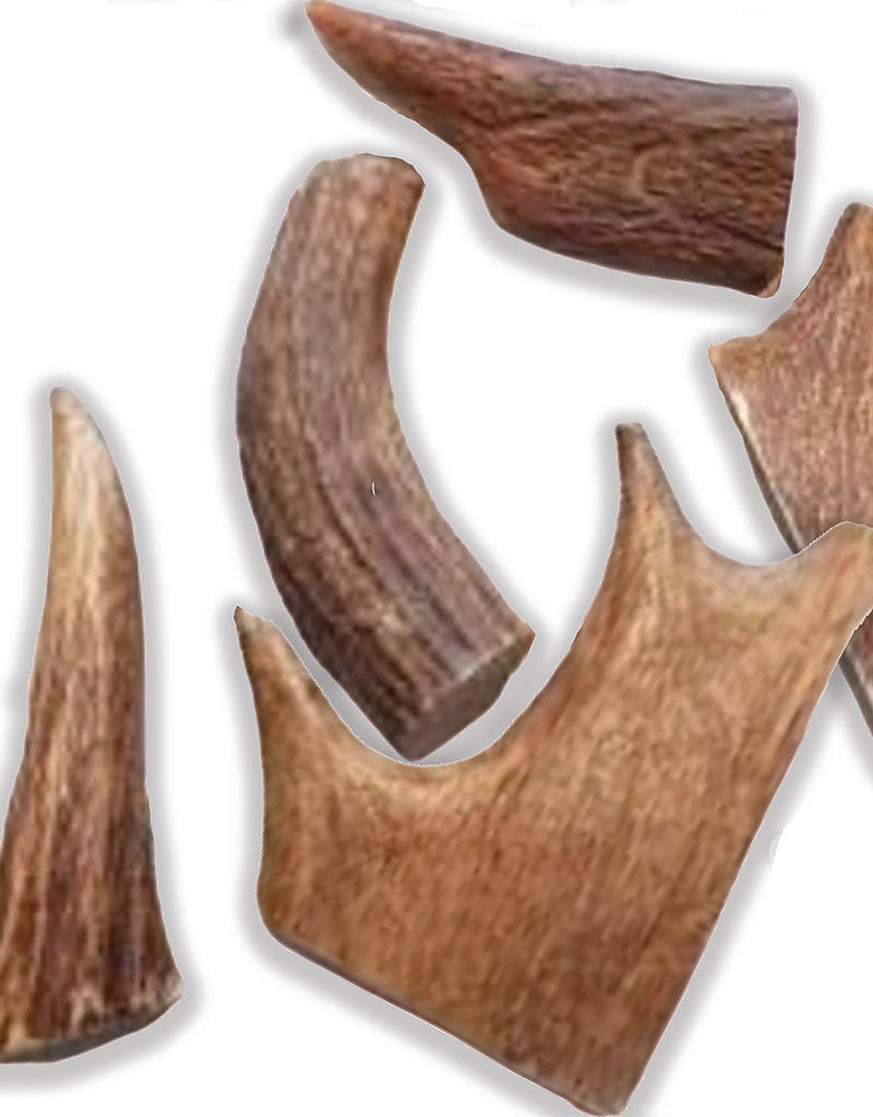 FISH & BONE Moose Antler by the Ounce