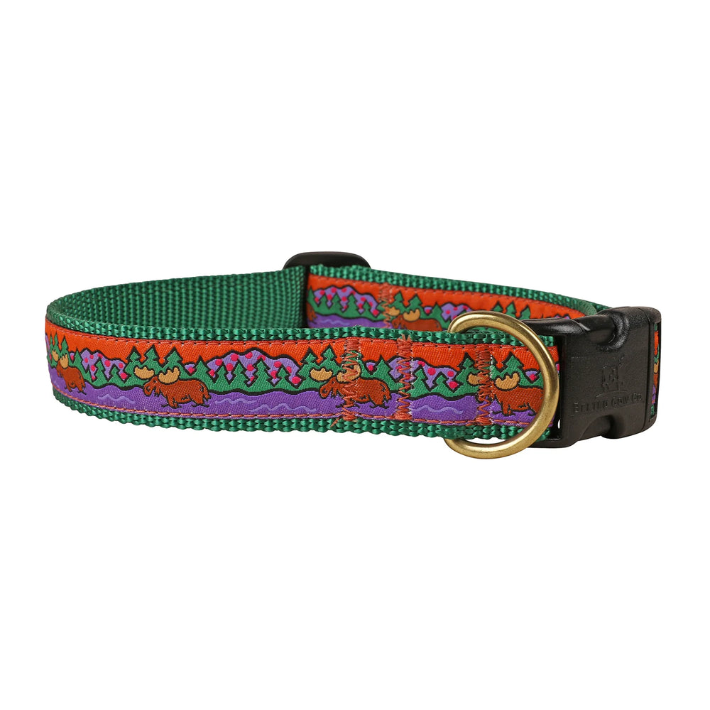 THE BELTED COW Moose II Dog Collar
