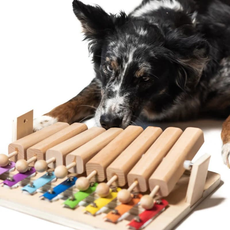 MY INTELLIGENT PETS Dog Piano Enrichment Toy