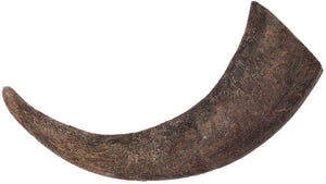 DIGGIN YOUR DOG Buba Water Buffalo Horn