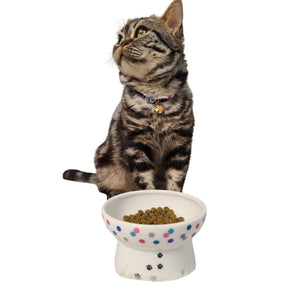 NECOICHI Raised Cat Food Bowl with Colorful Dots