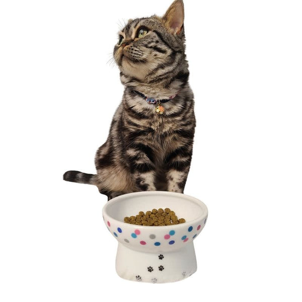 NECOICHI Raised Cat Food Bowl with Colorful Dots