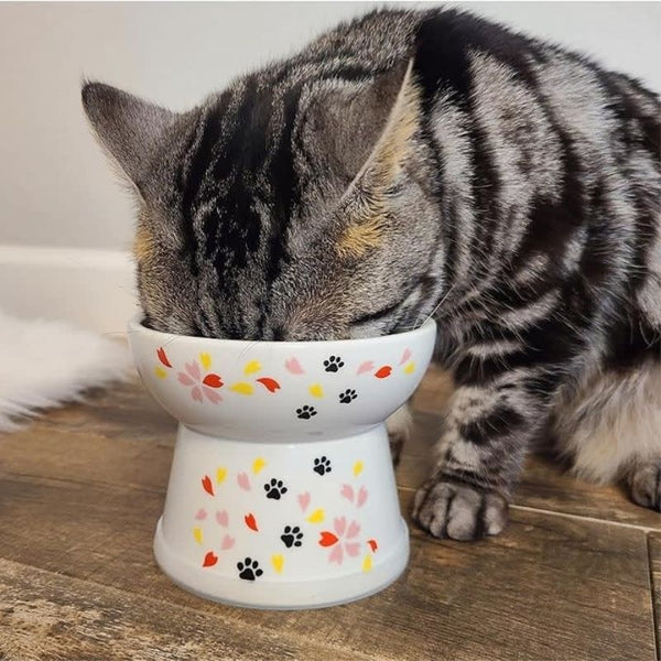 NECOICHI Raised Cat Food Bowl with Sakura Design