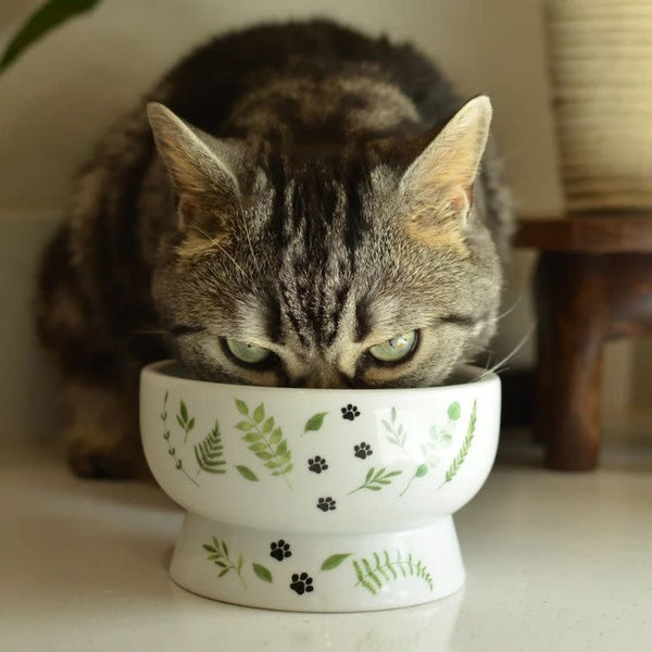 NECOICHI Raised Cat Water Bowl Go Green
