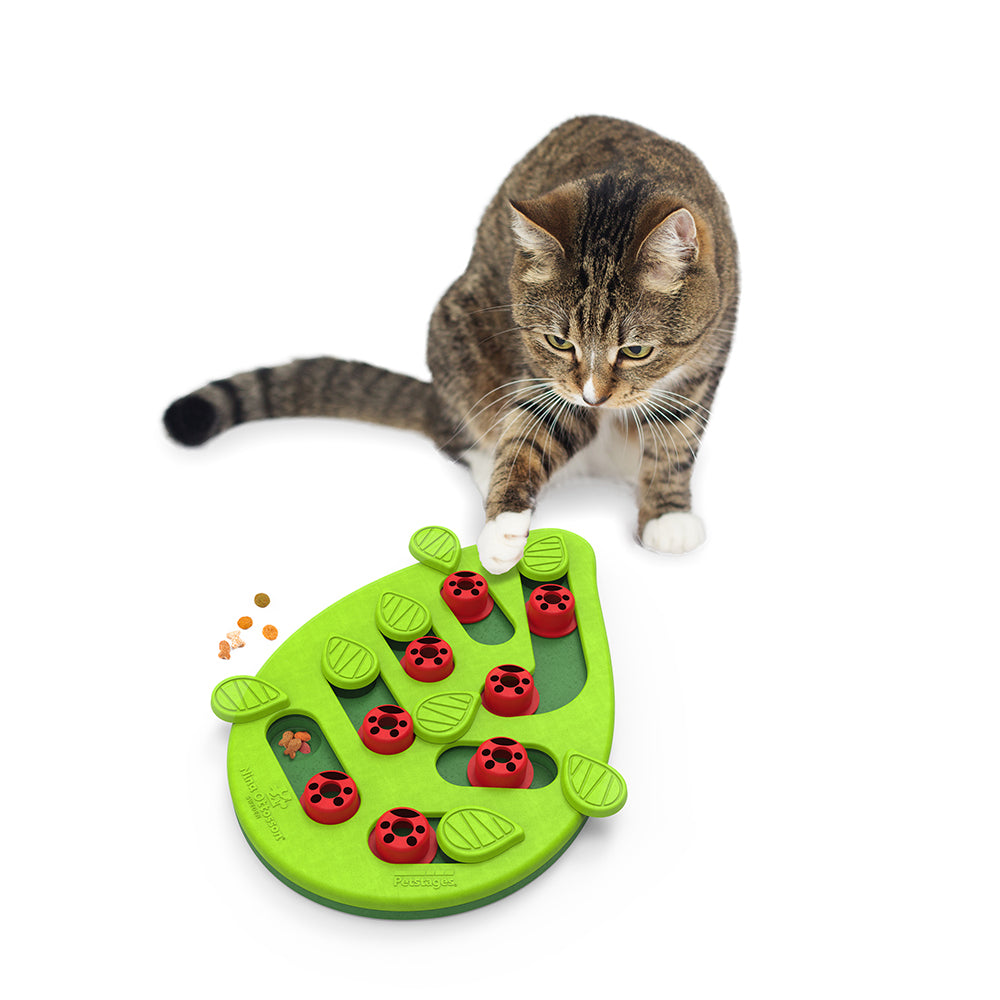 NINA OTTOSSON Buggin' Out  Puzzle & Play Cat Toy