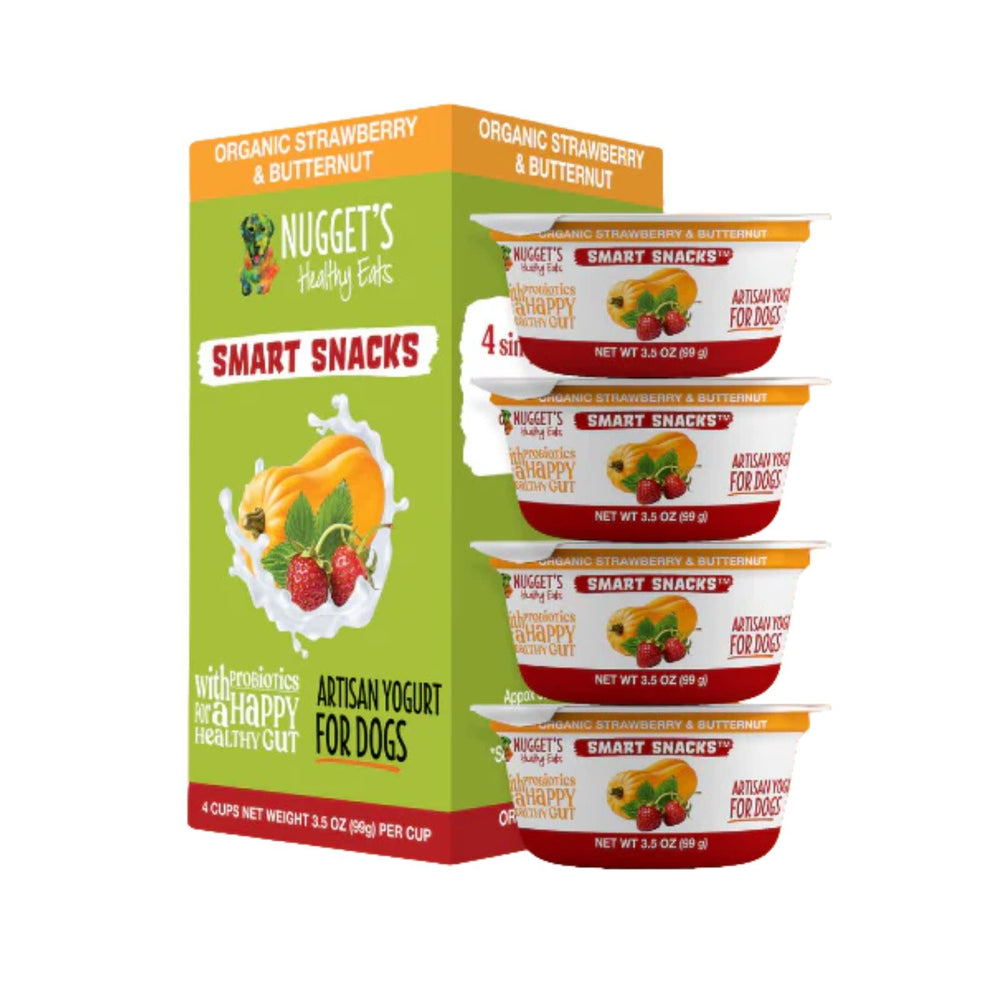 NUGGETS Frozen Yogurt Strawberry 3.5 oz CASE/ 4