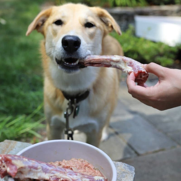 OMA'S PRIDE Frozen Dog & Cat Duck Neck 6 PK