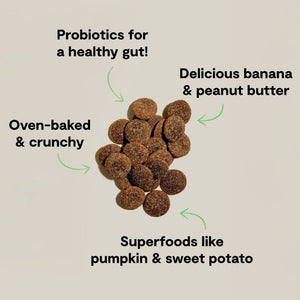 OPEN FARM Better Biscuits Peanut Butter & Banana Recipe 8OZ