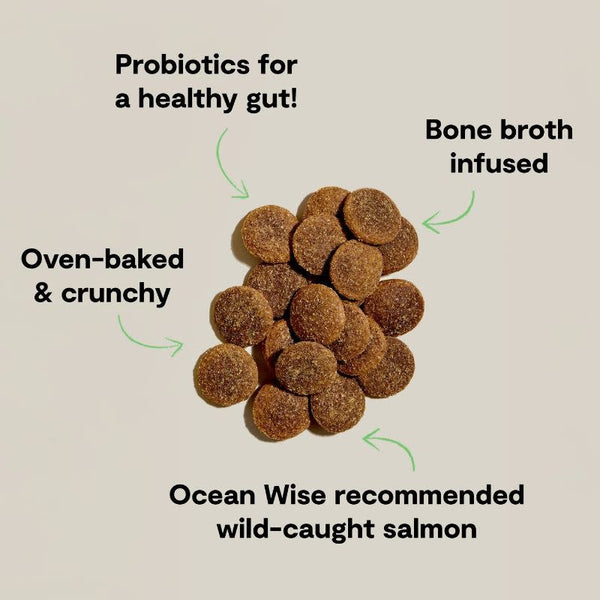 OPEN FARM Better Biscuits Salmon & Oatmeal Recipe 8OZ