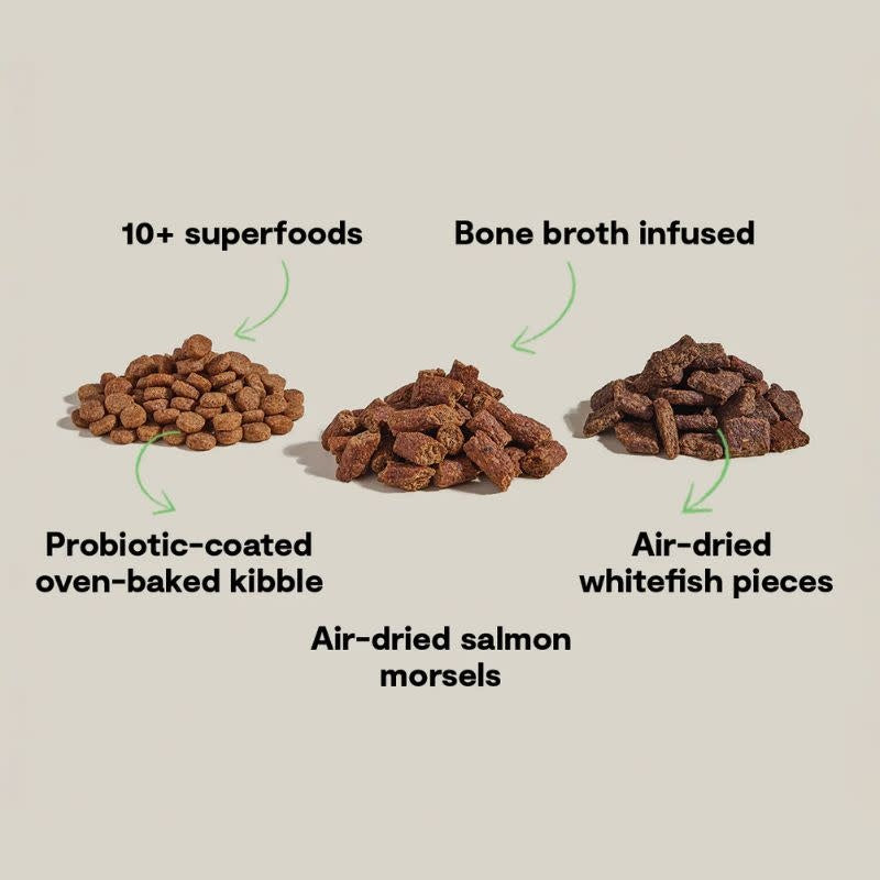 OPEN FARM Epic Blend Salmon & Superfood Dry Dog Food