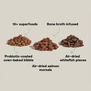 OPEN FARM Epic Blend Salmon & Superfood Dry Dog Food