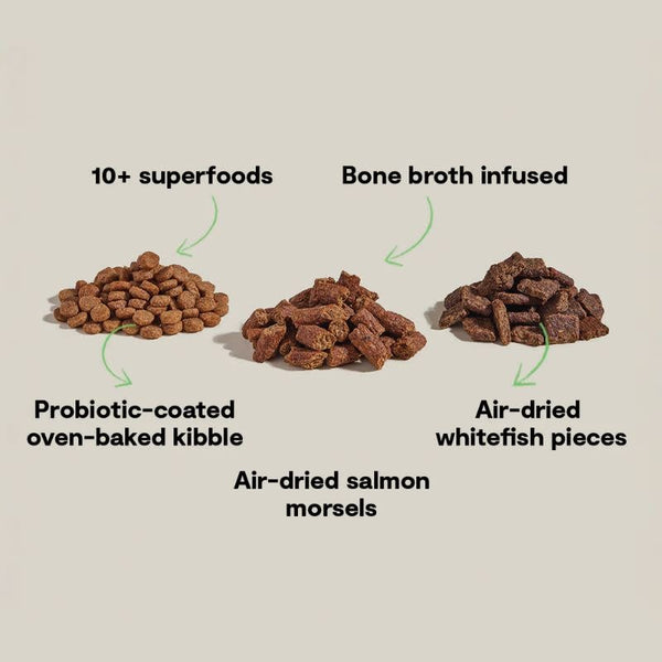 OPEN FARM Epic Blend Salmon & Superfood Dry Dog Food