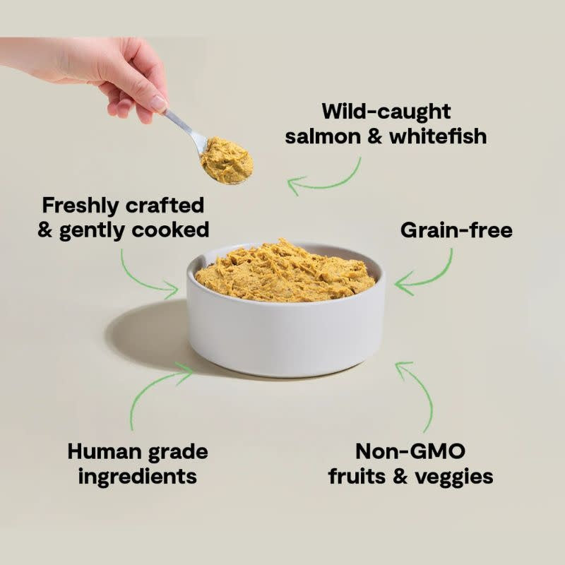 OPEN FARM Gently Cooked Fish Dog Food