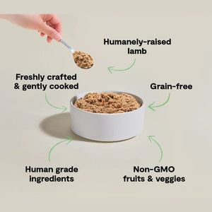 OPEN FARM Gently Cooked Lamb Dog Food