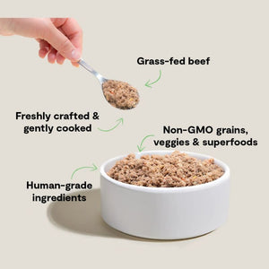 OPEN FARM Goodbowl Gently Cooked Beef Dog Food