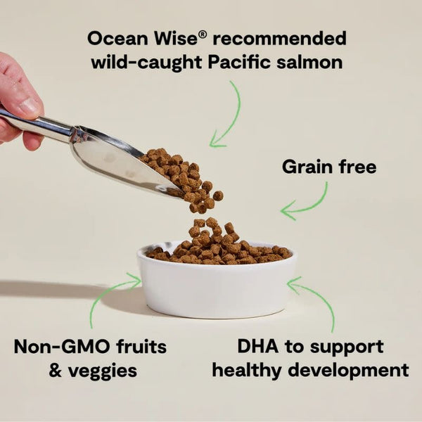 OPEN FARM Grain Free Puppy Salmon & Sweet Potato Dry Dog Food