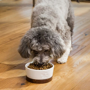 OPEN FARM Grain Free Puppy Salmon & Sweet Potato Dry Dog Food