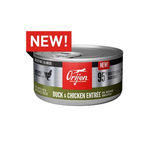 ORIJEN Duck and Chicken Entree Canned Wet Cat Food 5.5oz