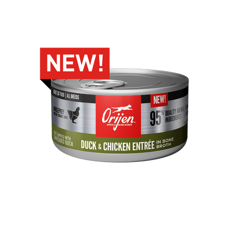 ORIJEN Duck and Chicken Entree Canned Wet Cat Food 5.5oz