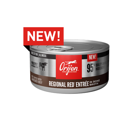 ORIJEN Regional Red Entree Wet Canned Cat Food 5.5oz