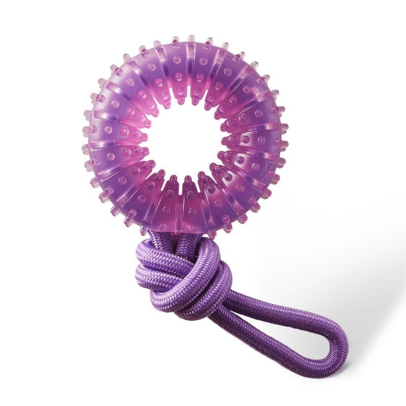 OUTWARD HOUND 2-in-1 Dental Chew Wheel Tug Toy