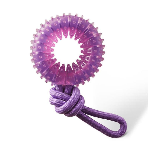 OUTWARD HOUND 2-in-1 Dental Chew Wheel Tug Toy
