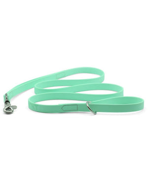 PACKT Ascent Dog Leash Seabreeze
