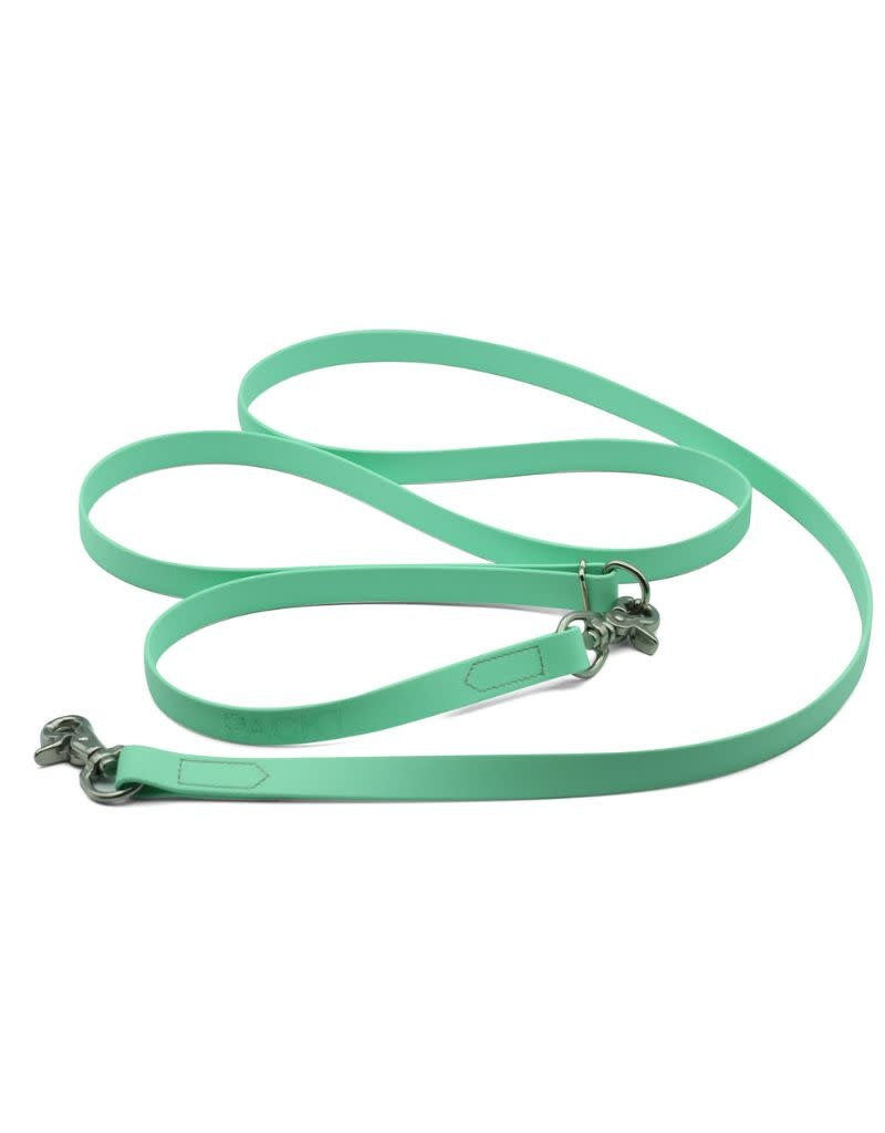 PACKT Ascent Hands Free Dynamic Dog Leash Seabreeze
