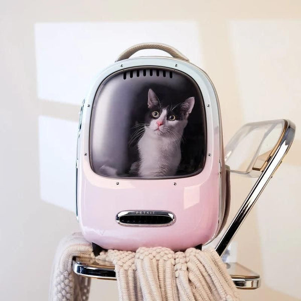PETKIT Breezy Dome 2 Gradient Pink Blue